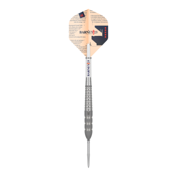 Raymond Van Barneveld Barney25 Swiss Point Steeldarts 21gr.