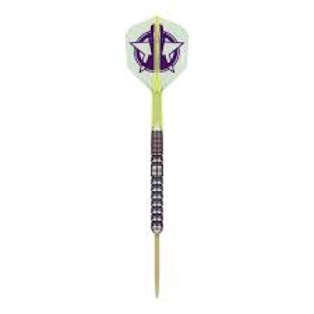 Luke Littler World Champion 2025 Edition Steeldarts - 23g